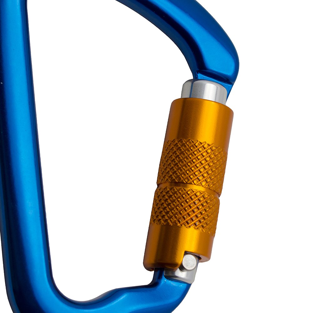 Fusion Climb Essence Aluminum AutoLock Modified DShape Carabiner 10