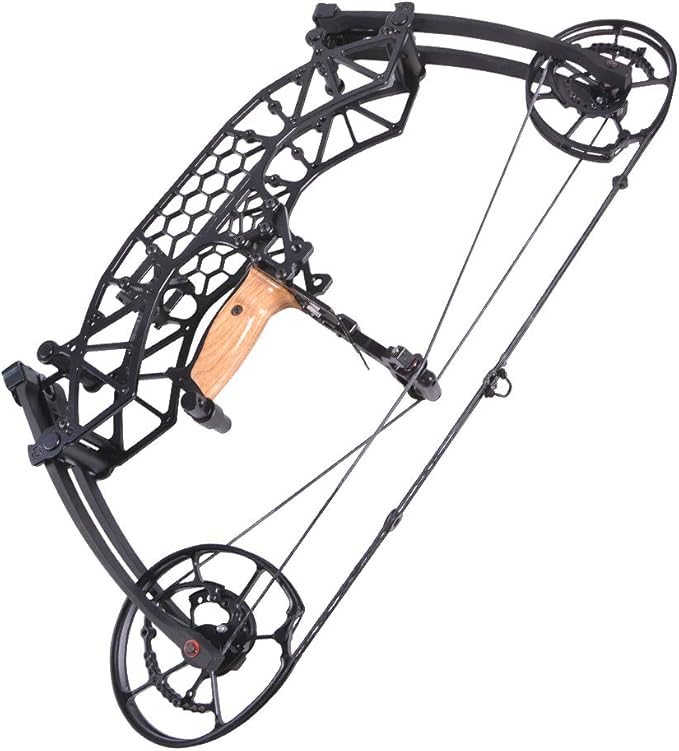 ZSHJGJR Archery Compound Bow Adjustable 3565LBS Hunting Bow 320fps for