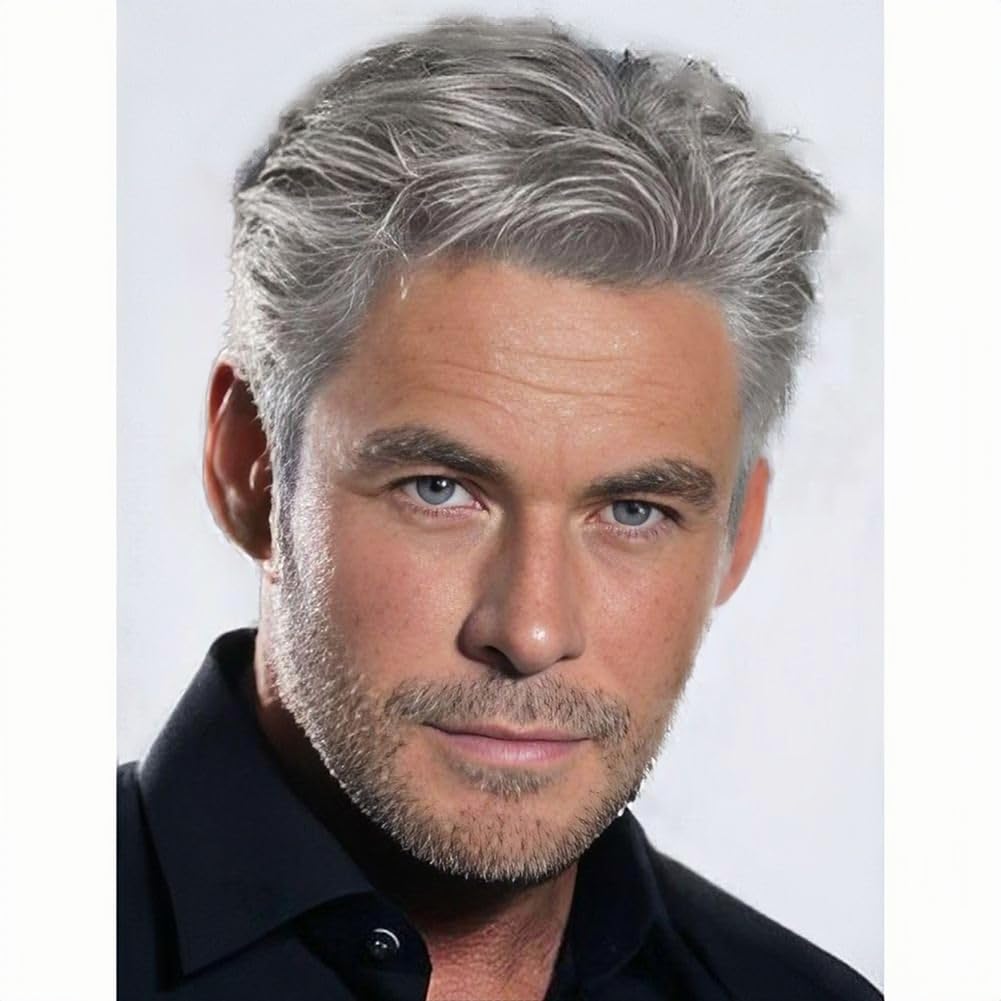 Siudus Mens Grey Short Wig Side Part Layered Realistic Hair Wigs Natural Synthetic Guy Male Wig for Daily Use