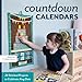 Count Down Calendars: 24 Stitched Projects to Celebrate Any Date (Design Collective) by Design Collective