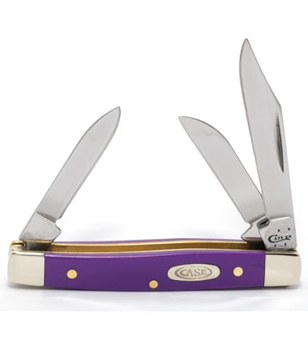 Amazon.com : Case WR XX Pocket Knife Smooth Purple Synthetic