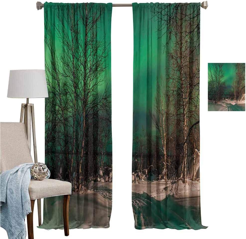 June Gissing Aurora Borealis Curtain for Living Room Snowy Frozen Road Path Between Leafless Trees Finland Park Decorative Darkening Curtains W96 x L108 Jade Green Brown White