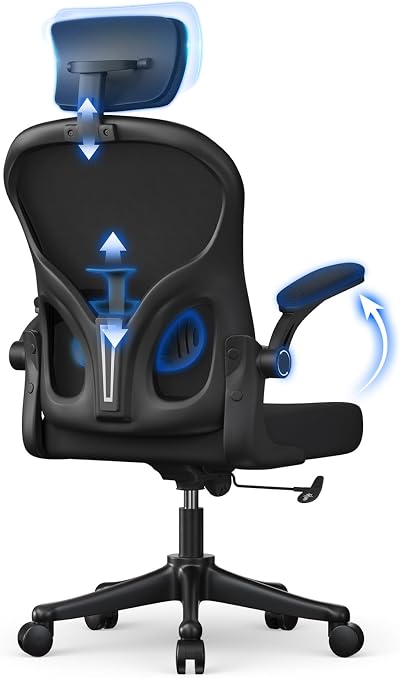 nasapaluro Office Desk Chair Ergonomic High Back with Adjustable Headrest
