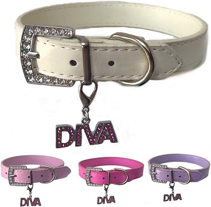Lushpetz Collier Diva Pour Chien Et Collier Assorti