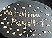 2 lbs. of Rich Unsearched NC Gold Paydirt, plus gold added!!!