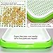 LeJoy Garden Sprouter Tray BPA Free PP Soil-Free (Green and White) … (White)