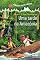 Livro Uma tarde na Amazônia (A casa da árvore mágica)