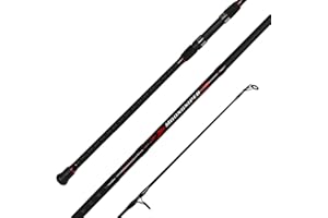 Fiblink Surf Spinning Fishing Rod 2-Piece/4-Piece Graphite Travel Fishing Rod