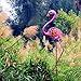 Garden Solar Lights Outdoor Solar Flamingo Garden Stake Light Decorative for Pathway, Patio, Lawn, Walkway and Yard