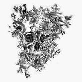 Black and White Flower Skull Bumper Sticker Vinyl Decal 5