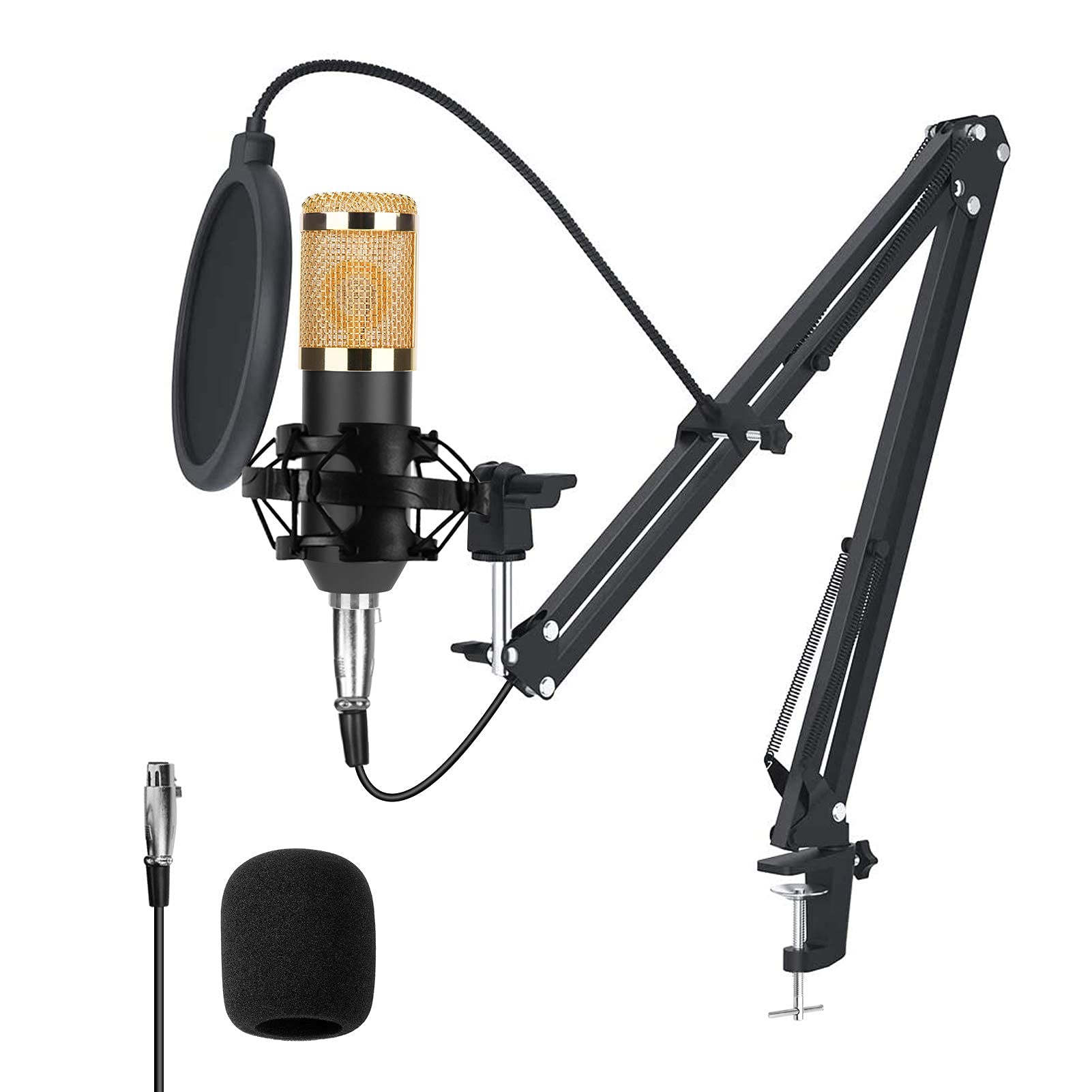 BM800 Professional Studio Condenser Microphone with Adjustable Arm Stand, Pop Filter, and Foam Cap for Recording and Broadcasting