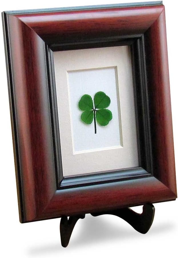 Amazon Com Clovers Online Good Luck Mahogany Frame With A Genuine Four Leaf Clover