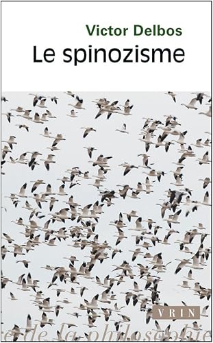 Download Le spinozisme PDF