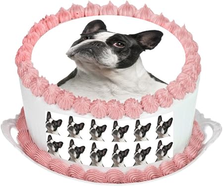 french bulldog cake