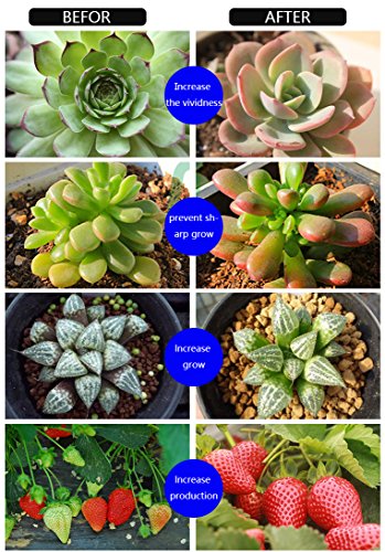 LED Grow Light, LEDMEI 18W Dual Head Plant Grow Light Dimmable 2 Levels Grow Lights Desk Clip with Adjustable 360° Goose Neck for Indoor Hydroponics Greenhouse Garden Home Office Plants - Thumbnail 5
