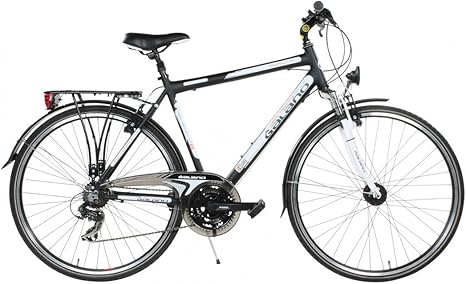avalon men's bike