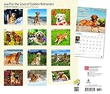 Image de For the Love of Golden Retrievers 2018 14 x 12 Inch Monthly Deluxe Wall Calendar with Foil Stamped Cover, Animal Dog Breeds (Multilingual Edition)