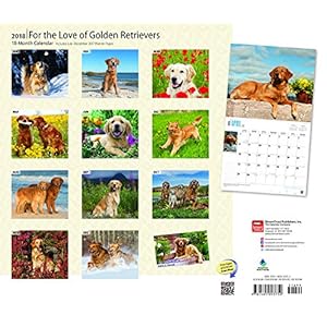 For the Love of Golden Retrievers 2018 14 x 12 Inch Monthly Deluxe Wall Calendar with Foil Stamped Cover, Animal Dog Breeds (Multilingual Edition)