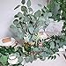 Supla 3 Pcs Faux Eucalyptus Leaves Spray Artificial Seeded Silver Dollar Eucalyptus Leaves Branches in Grey Green 25.5
