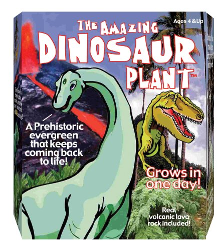 Dino Plant