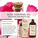 Biofinest Rose Essential Oil Shower Gel - Aromatherapy Luxury Spa Gift Set - Natural Fragrance Body Wash - Organic Moisturizing Bubble Bath - Paraben Sulfate Free - For Dry Skin Acne Women Men Kids