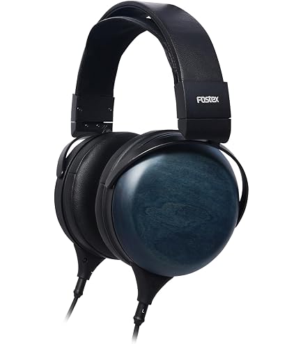 Amazon.com: Fostex TH-909 Premium Open-Back 1.5 Tesla Stereo