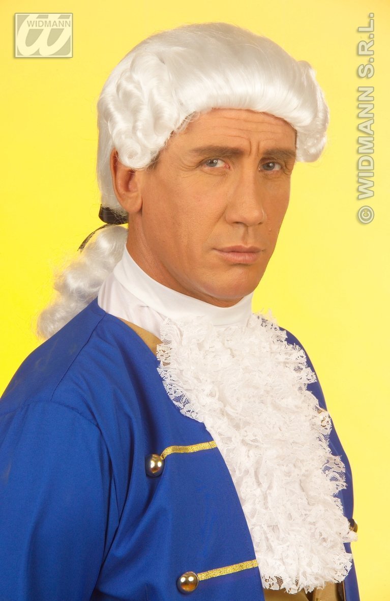 ADULT Mens White Judge Fancy Wig Lawyer Court BARRISTER fancy dress