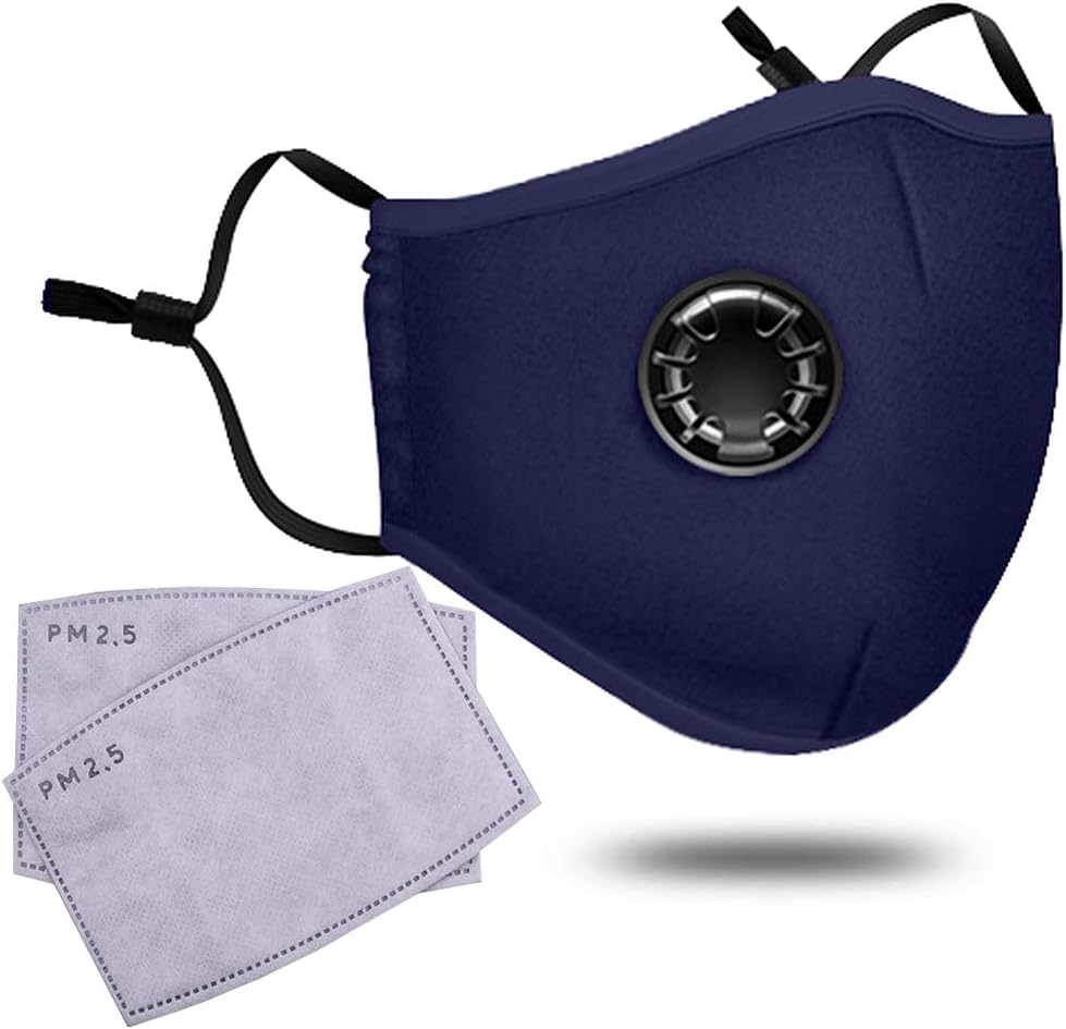 Pollution Mask Adult Anti PM 2.5 Pollen Dust Mask Washable Anti-Fog Anti Dust Mask Antibacterial Earloop Mouth Mask with 2 Filters