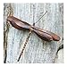 Ancient Graffiti Flamed Copper Wall Mount Dragonfly