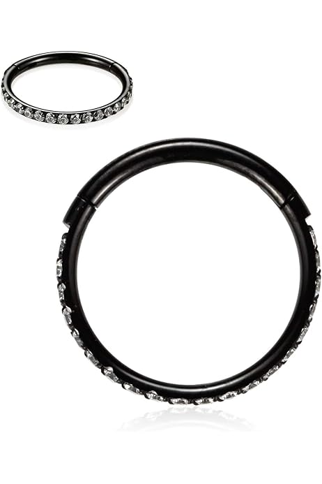 20G 18G 16G 12G Nose Ring Hoop Conch Rook Daith Helix Tragus