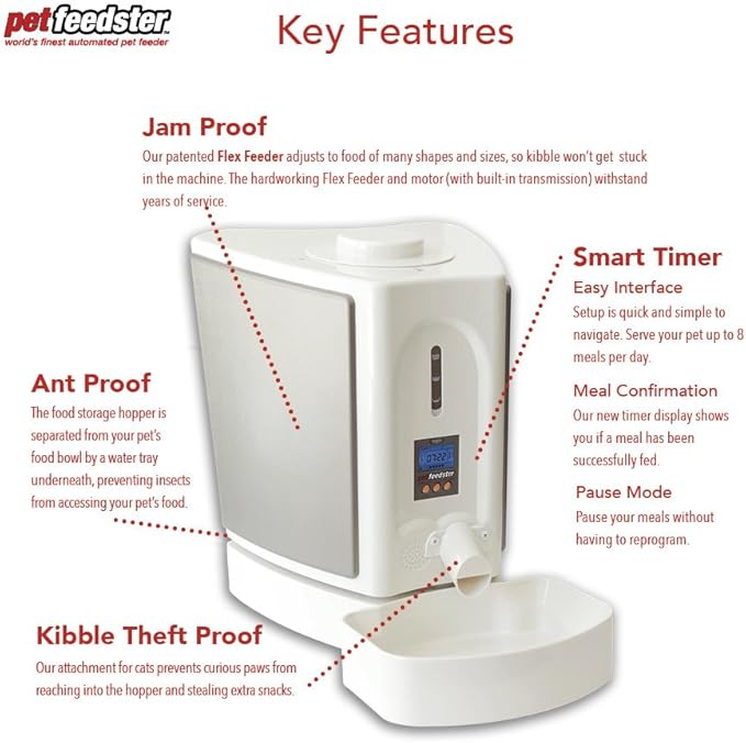 Pet Supplies Pet Feedster Automatic Dog Feeder Amazon Com