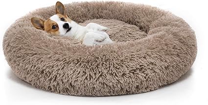 Amazon Com Mixjoy Orthopedic Dog Bed Comfortable Donut Cuddler