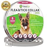 Lanalux Flea and Tick Prevention Collar image large