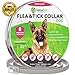 Collar Pet Essential Oil Pest Control Collars Prevention for Dogs 8 Months Protection Collar with Natural Plant Extracts Dog Treatment One Size Fits ALL