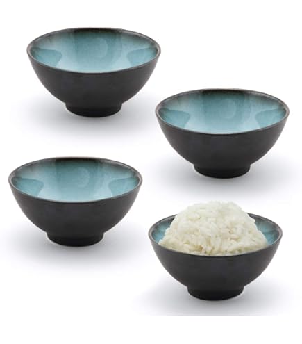 Amazon.com | Happy Sale, 6 Piece Japanese Style Sushi Plate