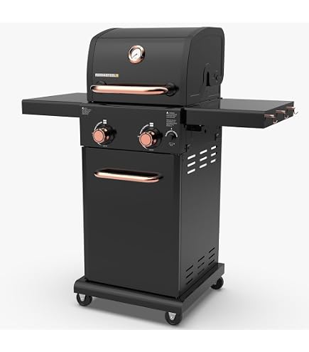 Amazon.com: Everdure FORCE 2 Burner Gas Grill, Liquid Propane