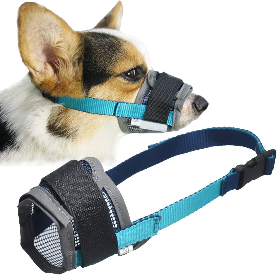 walking muzzle