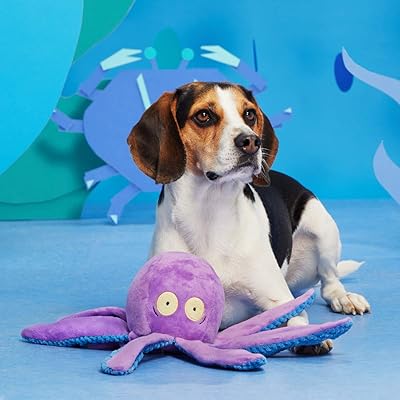 barkbox octopus