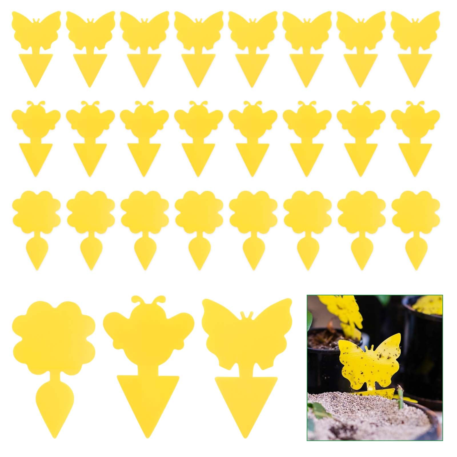 eROOSY 60PCS Fly Gnat Trap for House Indoors, Fruit Fly Sticky Traps, Sticky Traps Catcher, Yellow Sticky Traps, Fruit Fly Trap, Fly Catchers, Fly Stickers