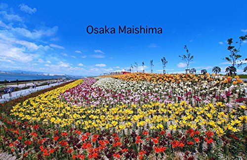 Livro Osaka Maishima