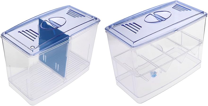 Ncbvixsw - Caja separadora para incubadora de Acuario: Amazon.es: Productos para mascotas