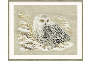 RIOLIS 1241 White Owl