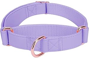 AAUFILUX Soft Leather Martingale Dog Collar - Adjustable Rose Gold Limited Slip Collars [Easy to Clean], Stylish Durable Heavy Duty Nylon No Pull Training Collar for Small Medium Large Dogs S Purple
