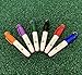 Mini Permanent Markers Golf - Ultra Fine Tip Permanent Marker Pens - Perfect Golf Ball Marker - (2) 6 Packs with Assorted Colors - Golf keychain Clip (Standard)