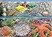 Exploring the Seashore, A 35-Piece Tray Puzzle by Cobble Hill