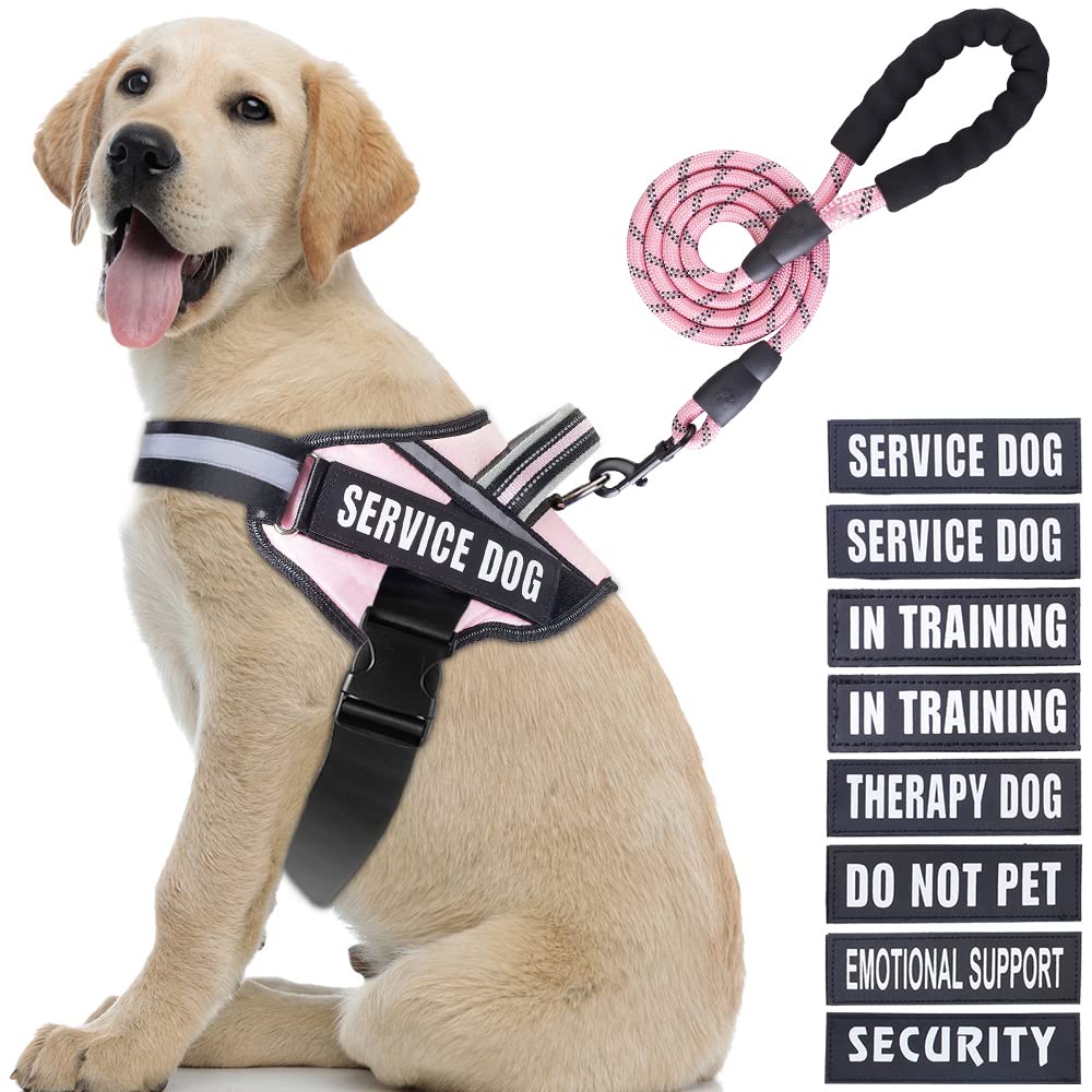 as seen on tv dog toy indestructible The Barrett Ball Virtually Indestructible Rubber Ball Dog Toy 5in
