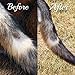 Big Mare Canine Body Spray : Antibacterial/Antifungal. Clinically Proven Effective On Hotspots, Yeast, Dermatitis, Staph, Ringworm, Hair Loss, And More. Veterinary Approved & Recommended. (4 oz)thumb 1
