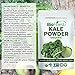 Biofinest Kale Vegetable Powder - 100% Pure Freeze-Dried Antioxidants Superfood - USDA Certified Organic Vegan Raw Non-GMO - Boost Digestion & Skin Care - Smoothie Beverage Blend (4 oz Resealable Bag)