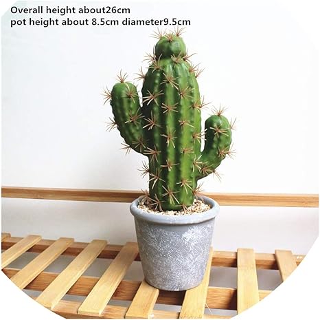 Amazon 造花 多肉植物 スクイーズ サボテン 人工植物 人工植物 人工サボテン 花 Diy ホームデコレーション 風景 人工観葉植物 オンライン通販 Amazon 造花 多肉植物 スクイーズ サボテン 人工植物 人工植物 人工サボテン 花 Diy ホームデコレーション 風景 人工観葉植物 オンライン通販