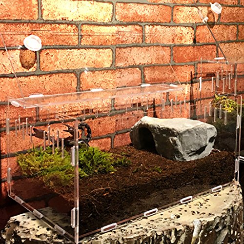 3 Petforu+Aquarium+Breeding+Temperature+Hygrometer